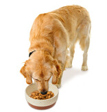 Ethical Pet Spot Sedona Dog Dish