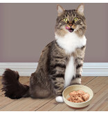Ethical Pet Spot Sedona Cat Dish