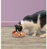 Ethical Pet Spot Portofino Cat Dish