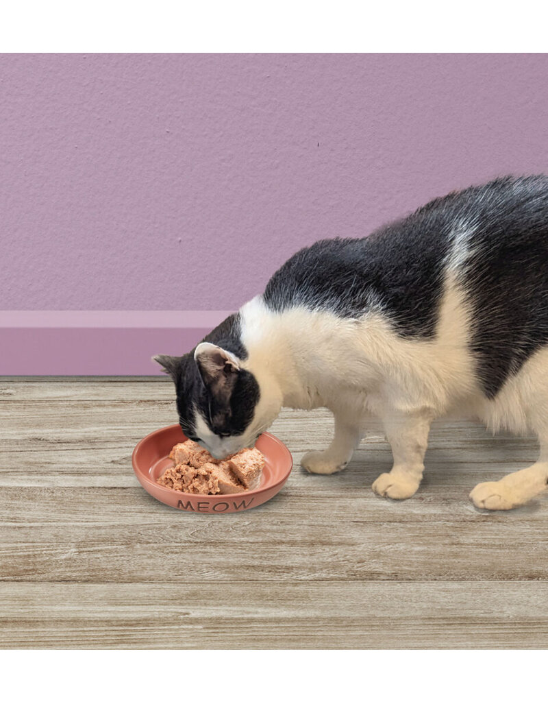 Ethical Pet Spot Portofino Cat Dish