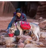 Kurgo Kurgo Collaps A Bowl Travel Bowl