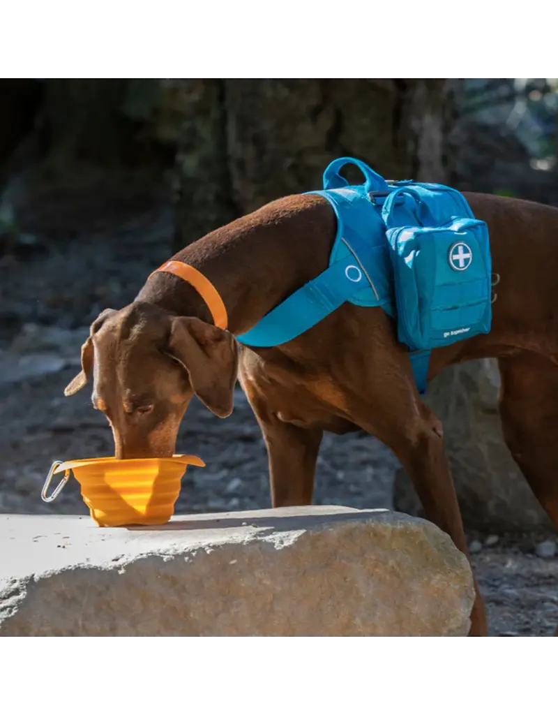 Kurgo Kurgo Collaps A Bowl Travel Bowl