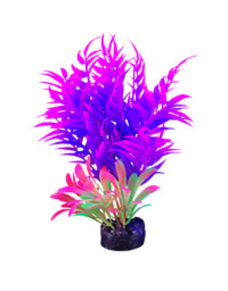 Marina Marina iGlo Plant