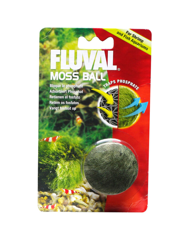 Fluval Fluval Moss Ball