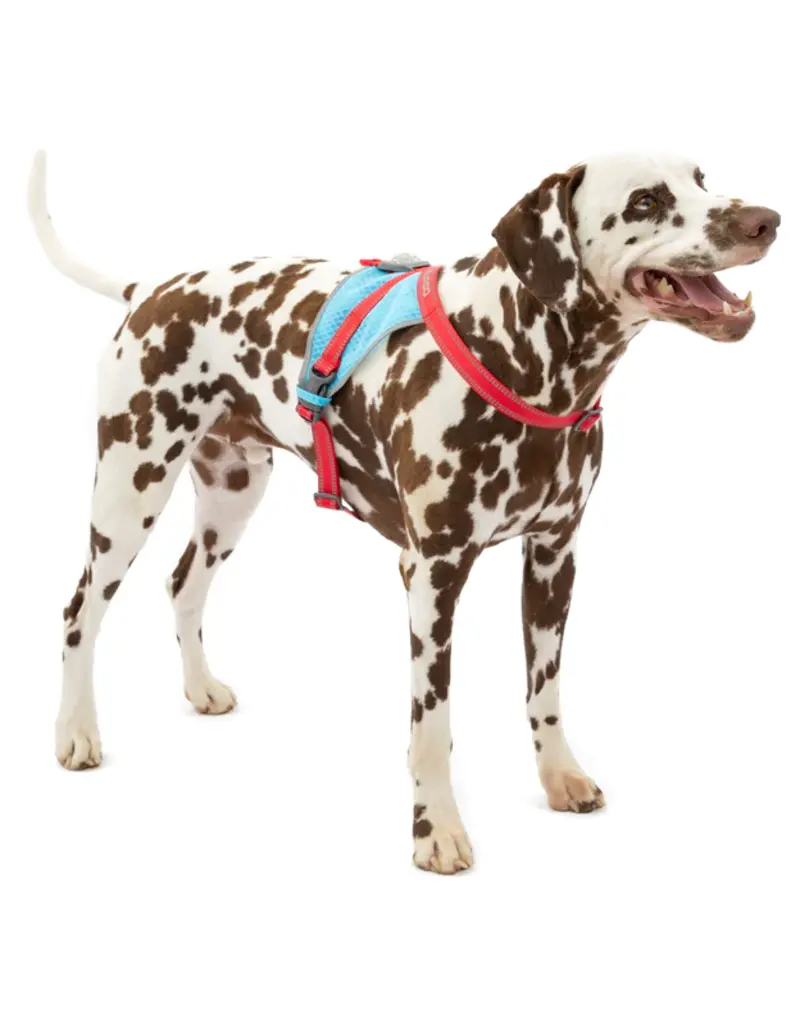 Kurgo Kurgo Run-Lite Vest Harness