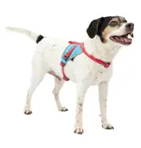 Kurgo Kurgo Run-Lite Vest Harness