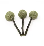 Oxbow Oxbow Enriched Life - Timmy Pops