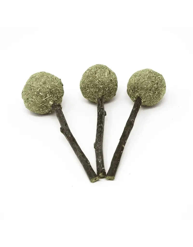 Oxbow Oxbow Enriched Life - Timmy Pops