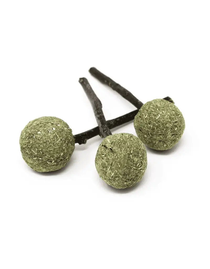 Oxbow Oxbow Enriched Life - Timmy Pops