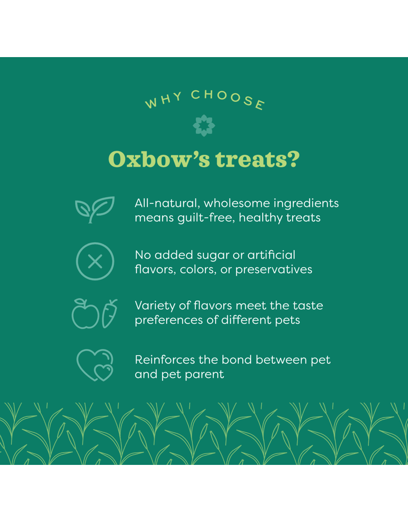 Oxbow Oxbow Simple Rewards Banana Treats