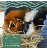 Oxbow Oxbow Organic Meadow Hay 15 oz