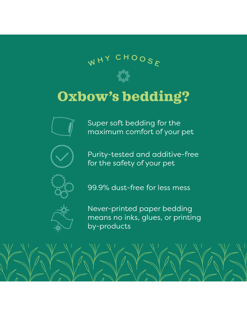 Oxbow Oxbow Pure Comfort White Pet Bedding