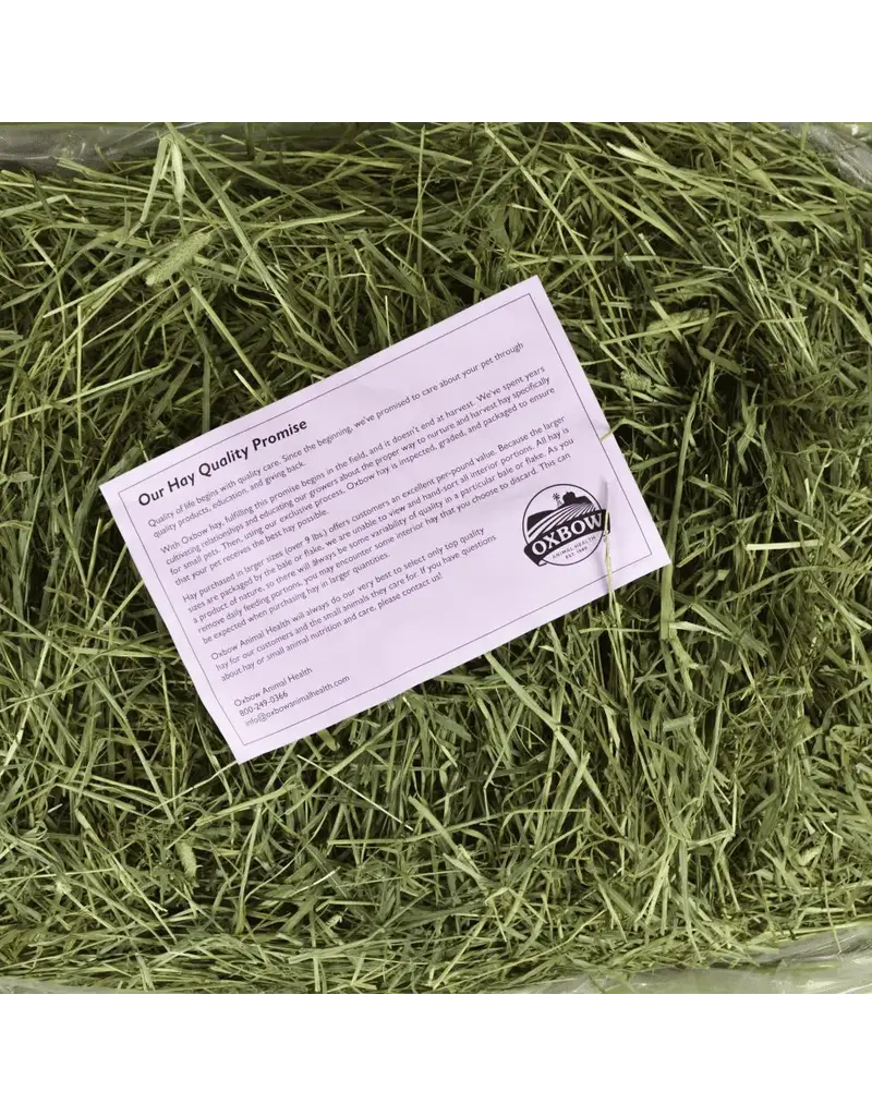 Oxbow Oxbow Western Timothy Hay