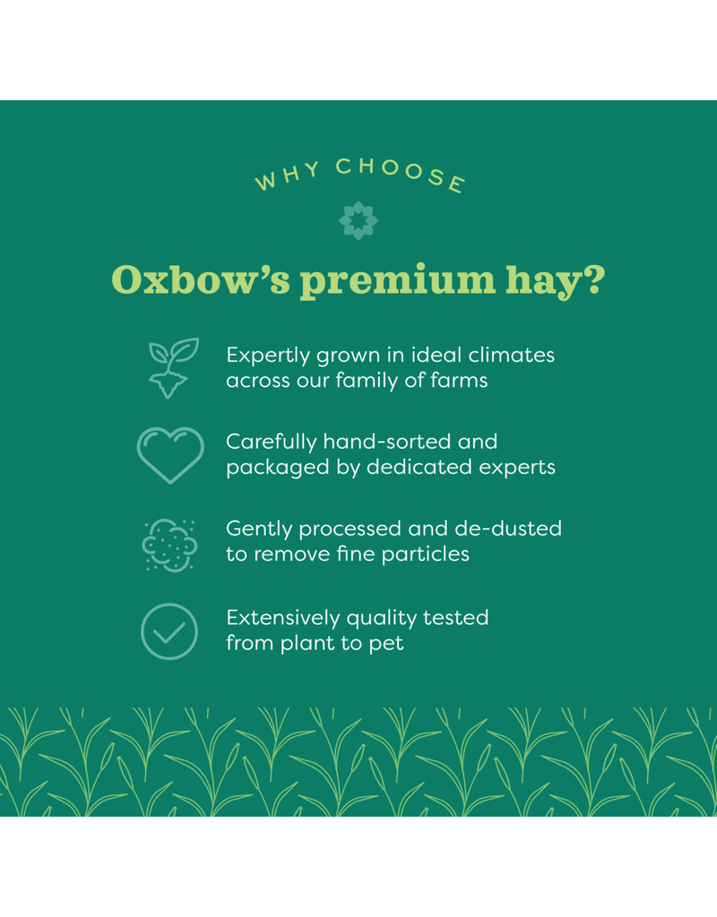 Oxbow Oxbow Western Timothy Hay