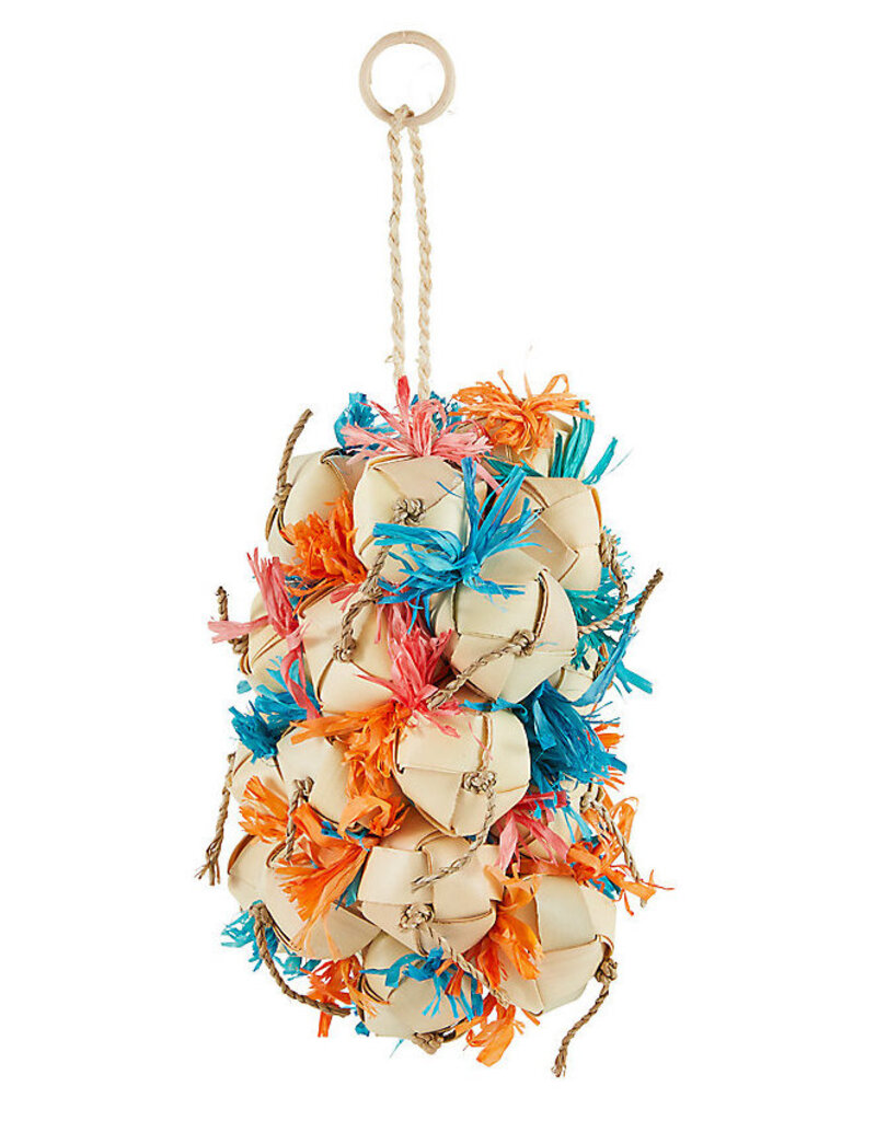 A&E Cage Company Crunchy Grapes Bird Toy