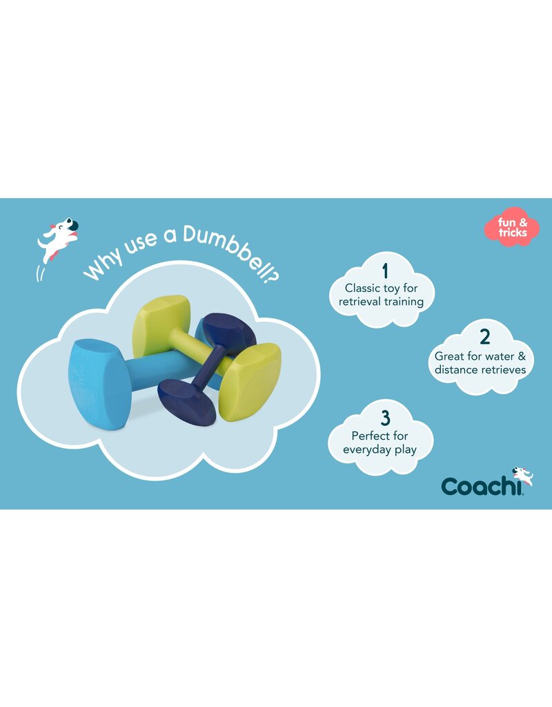 The Company of Animals Coachi Train & Play Dumbbell Blue Large