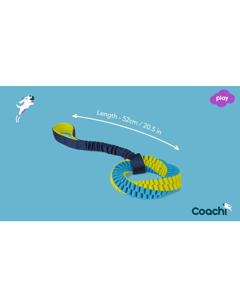 The Company of Animals Coachi Train & Play Tuggi Helix Lime/Navy Lg