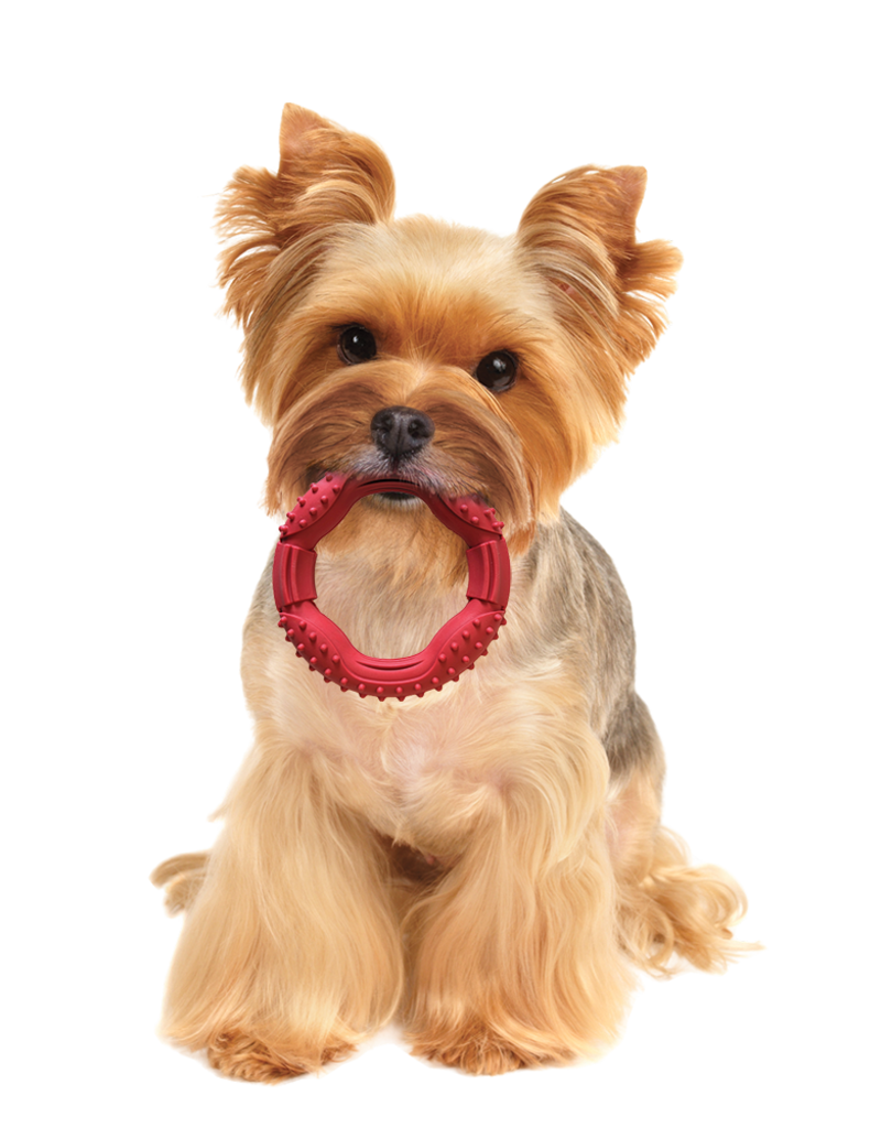 Ethical Pet Spot Barrett Tough Ring 5 In