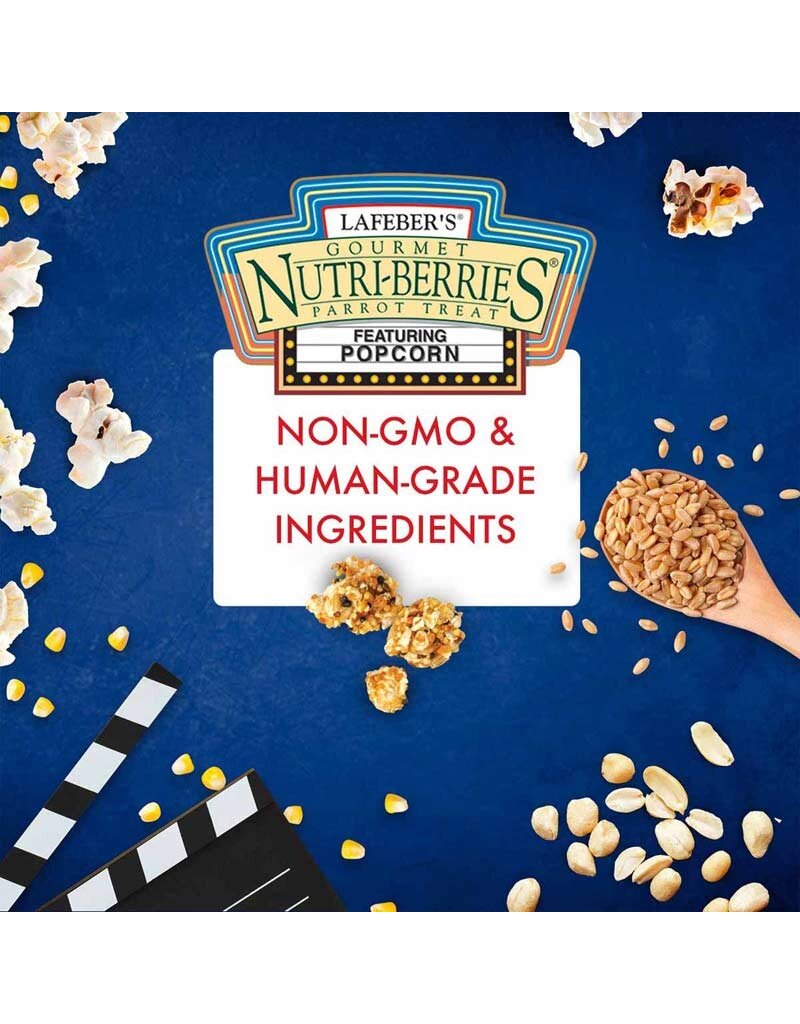 Lafeber Lafeber Parrot Popcorn Nutri-Berries 4 Oz