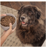 Badlands Ranch Badlands Ranch  Air-Dried Superfood