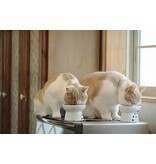 Necoichi Necoichi Raised Food Bowl Cat