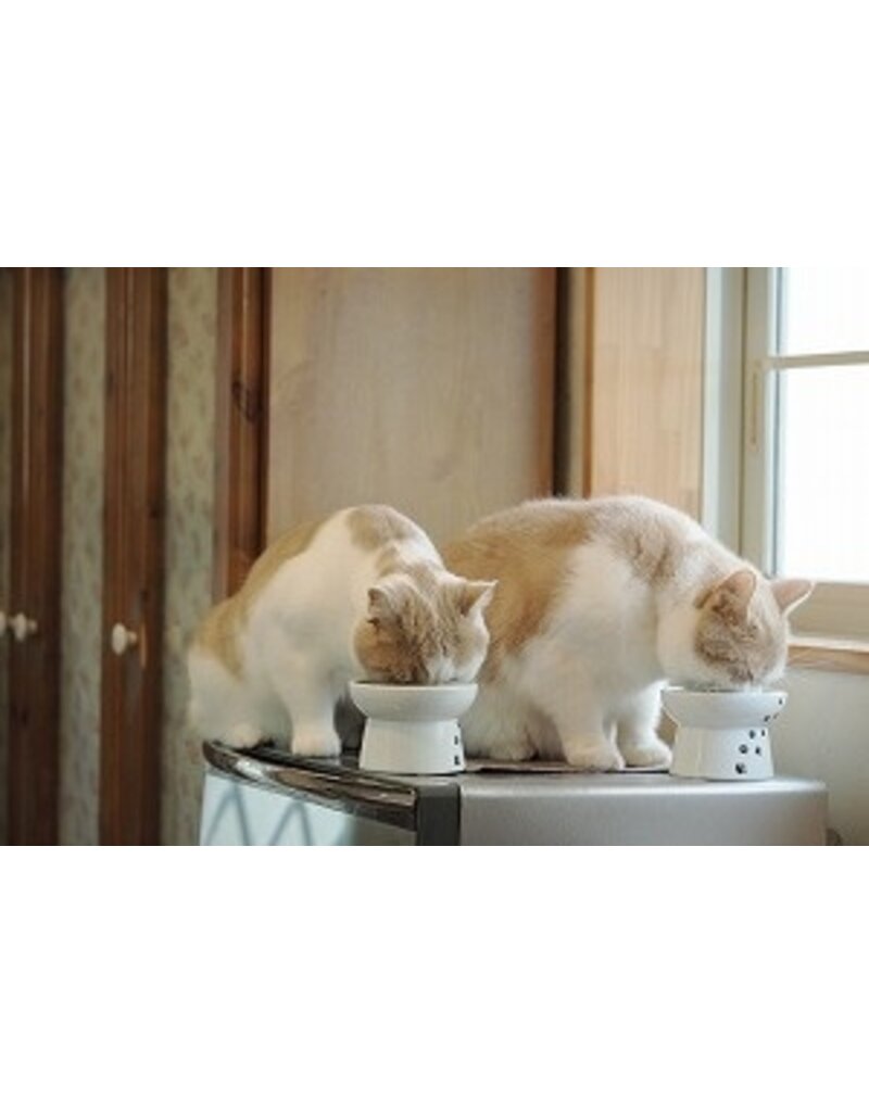 Necoichi Necoichi Raised Food Bowl Cat