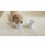 Necoichi Necoichi Raised Water Bowl Dog