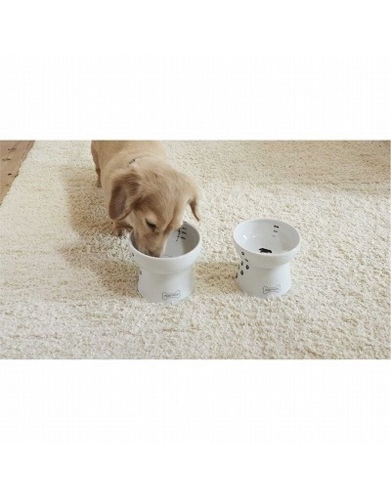 Necoichi Necoichi Raised Water Bowl Dog