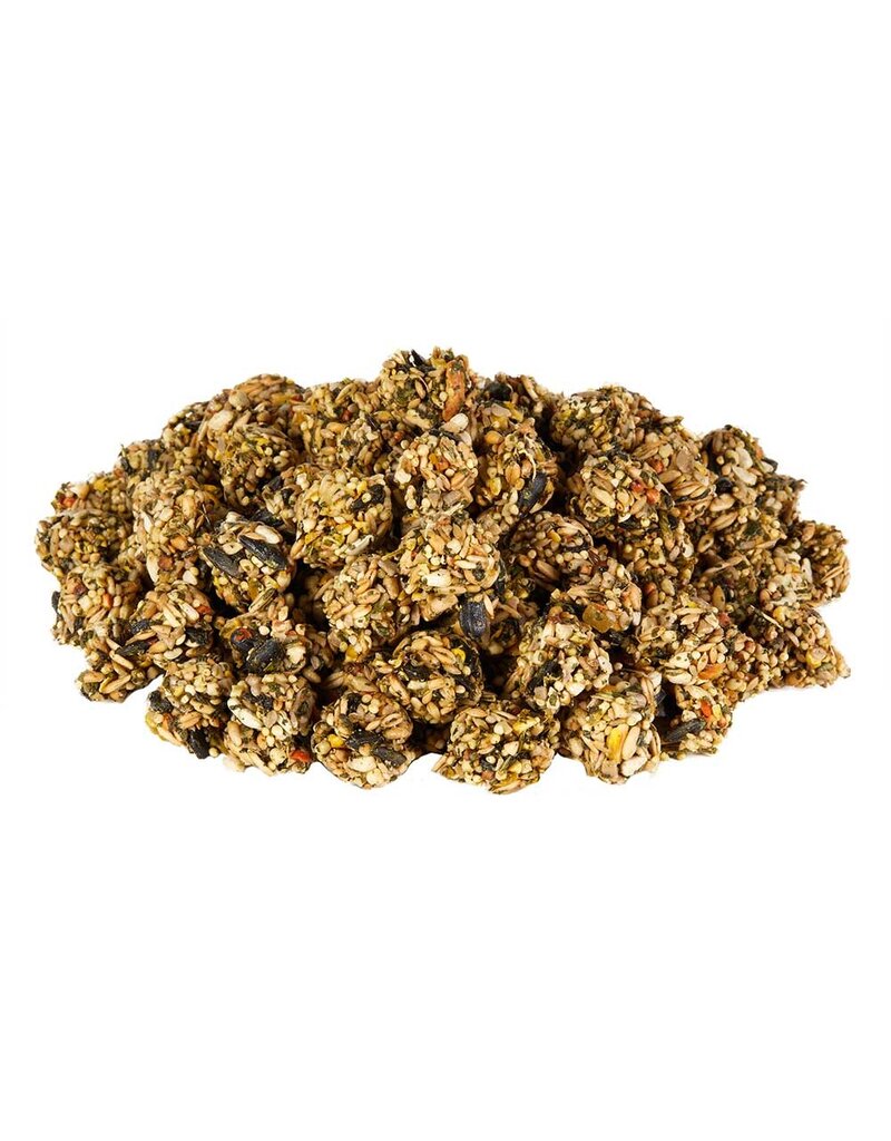 Kaytee Kaytee Small Animal Granola Bites With Superfoods Spinach/Carrot 4.5 Oz