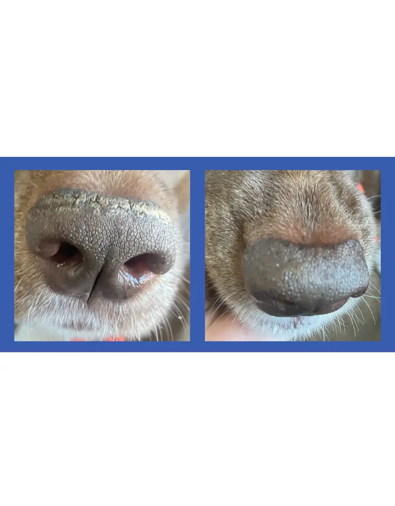 Squishface Squishface Nose Balm 1.75oz