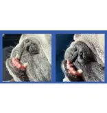 Squishface Squishface Nose Balm 1.75oz