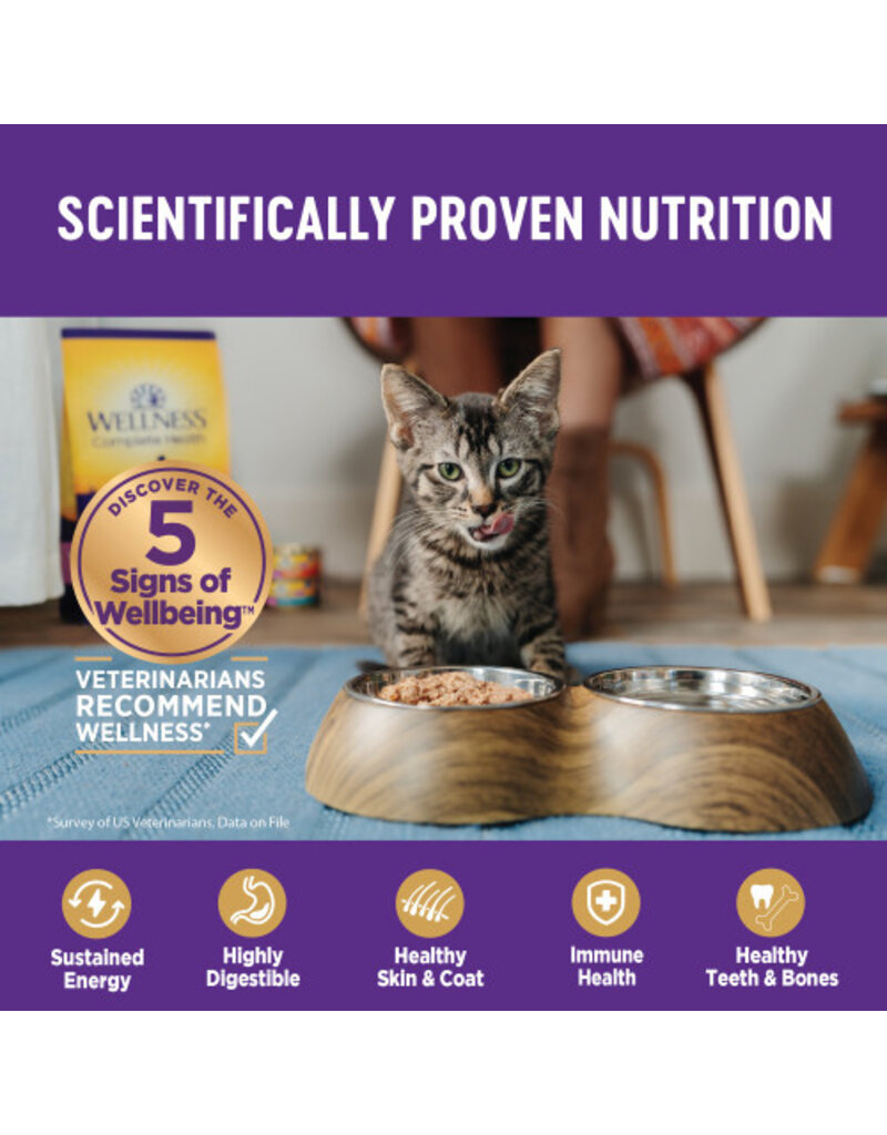 Wellness Wellness Healthy Indulgence Morsels Chicken & Salmon Wet Cat Food 3oz pouch