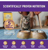 Wellness Wellness Healthy Indulgence Natural Grain Free Morsels Chicken Cat Food 3Oz Pouch