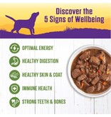 Wellness Wellness Lamb & Beef Stew with Brown Rice & Apples Dog Food 12.5 oz can