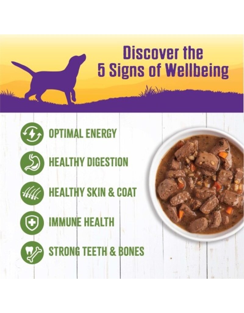 Wellness Wellness Lamb & Beef Stew with Brown Rice & Apples Dog Food 12.5 oz can