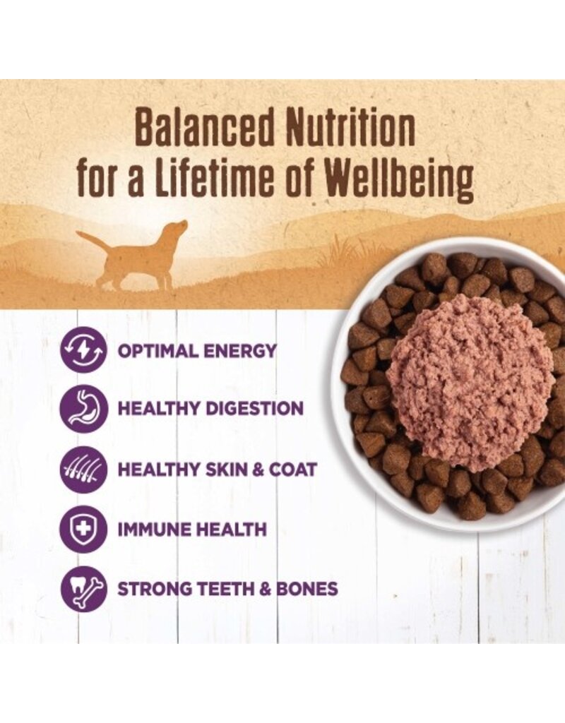 Wellness Wellness Mixer/Topper 95% Chicken Grain Free Wet Dog Food 13.2 oz Can