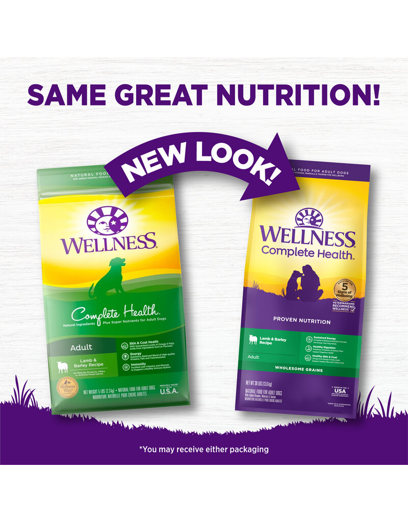 Wellness Wellness CH Lamb & Barley