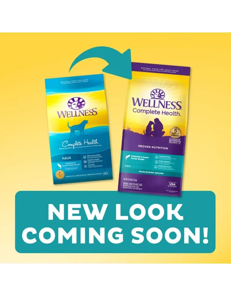 Wellness Wellness CH Whitefish & Sweet Potato