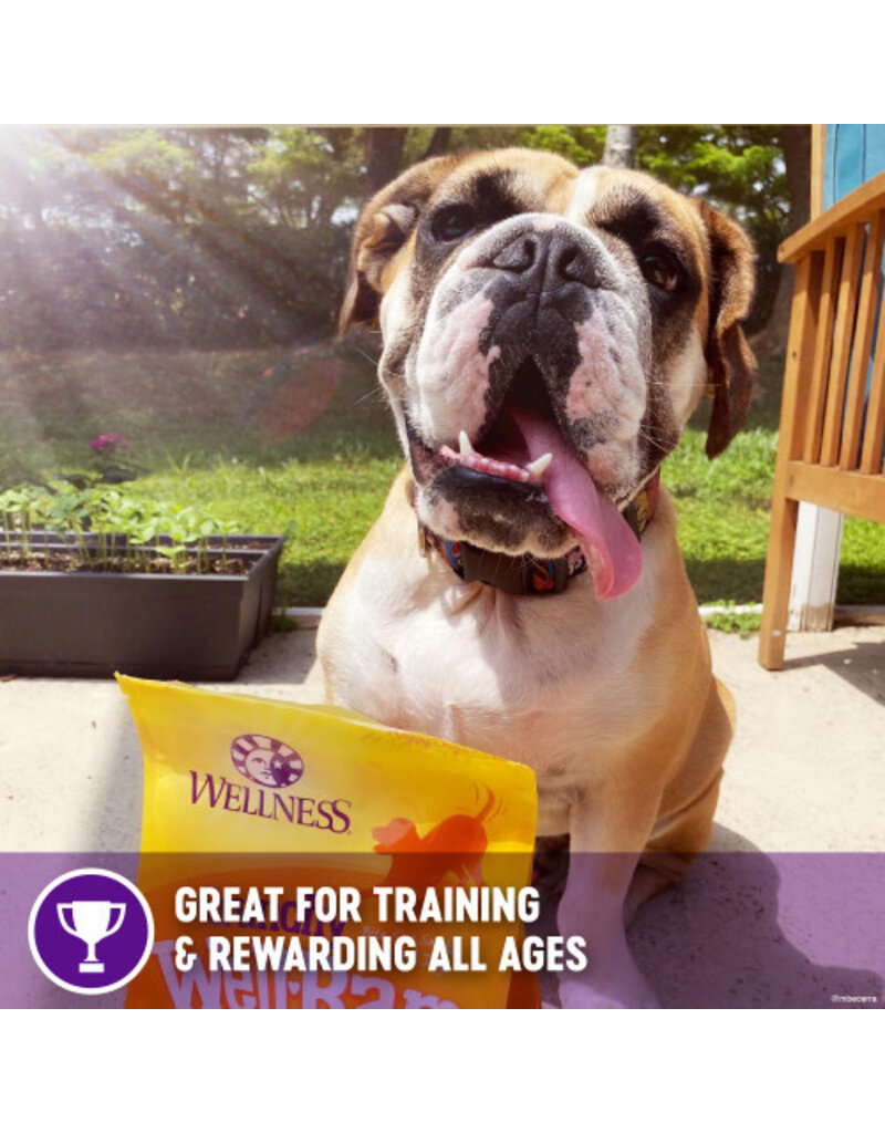 Wellness Wellness Crunchy Wellbars Yogurt, Apples & Bananas Recipe Dog Treats