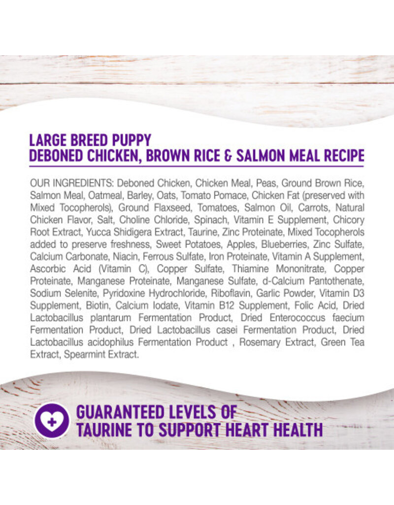 Wellness Wellness CH Large Breed Puppy Chicken/Rice/Salmon 30 lb