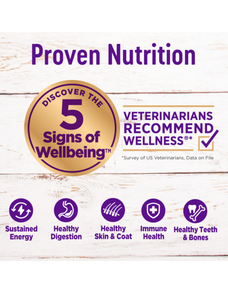 Wellness Wellness CH Large Breed Puppy Chicken/Rice/Salmon 30 lb