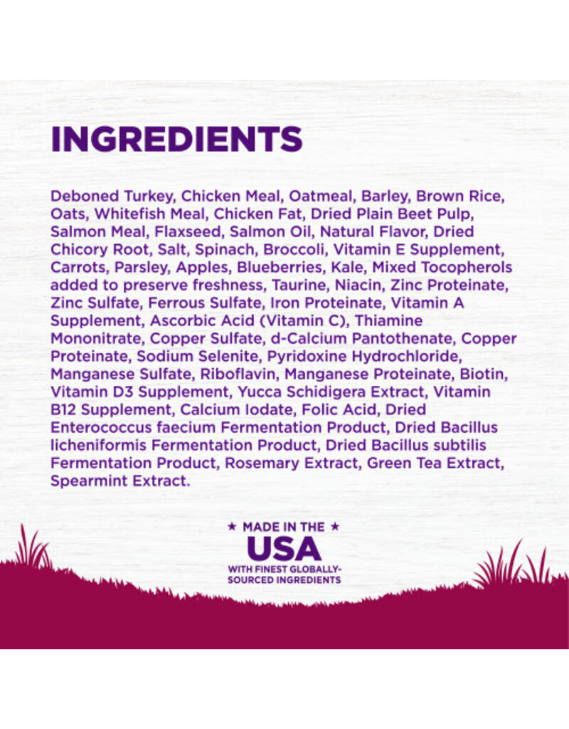 Wellness Wellness CH Small Breed Puppy Turkey 4lb