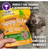 Wellness Wellness Crunchy Puppy Bites Chicken & Carrots 6oz