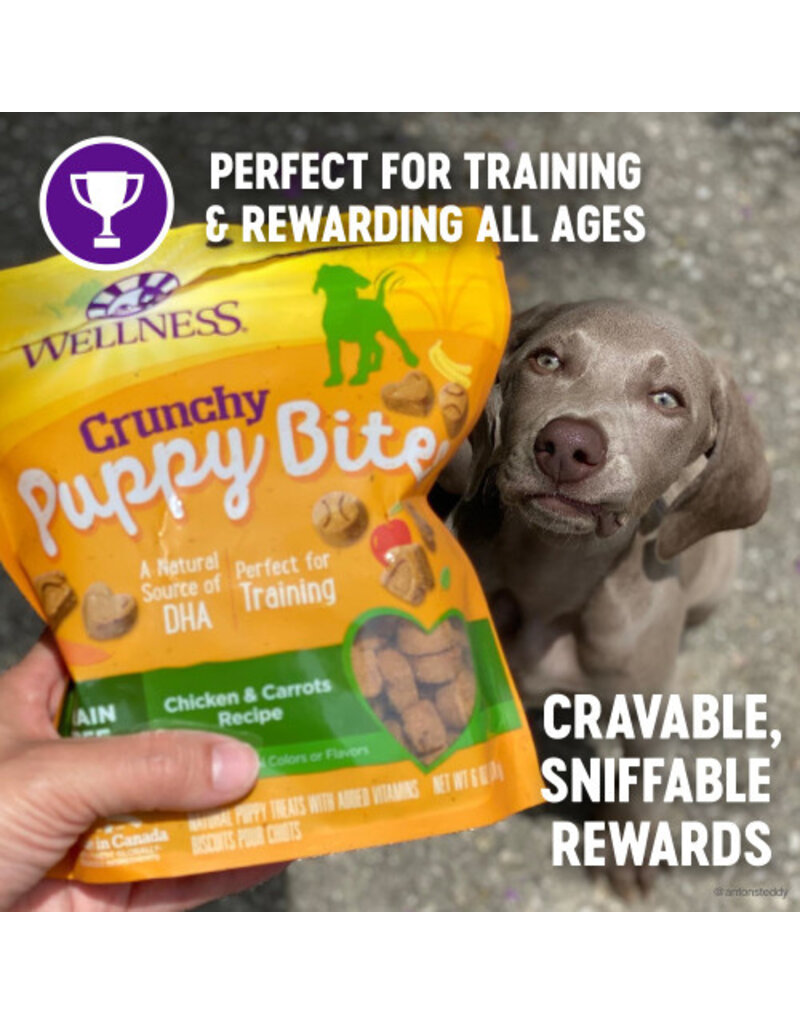Wellness Wellness Crunchy Puppy Bites Chicken & Carrots 6oz