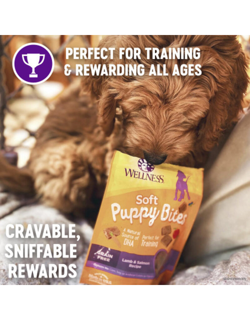 Wellness Wellness Soft Puppy Bites Lamb & Salmon Recipe Dog Treats 3 oz