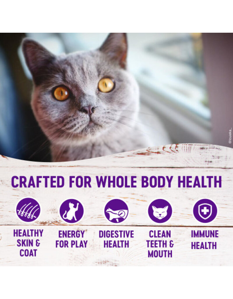 Wellness Wellness Complete Grain Free Chicken Kitten Food