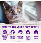 Wellness Wellness Complete Health Grain Free Salmon Herring Indoor Cat