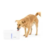 Petsafe Petsafe Viva Pet Fountain Petsafe Petsafe Viva Pet Fountain