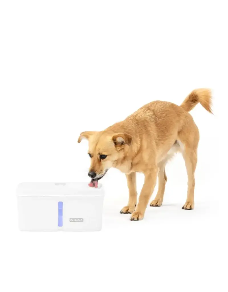 Petsafe Petsafe Viva Pet Fountain