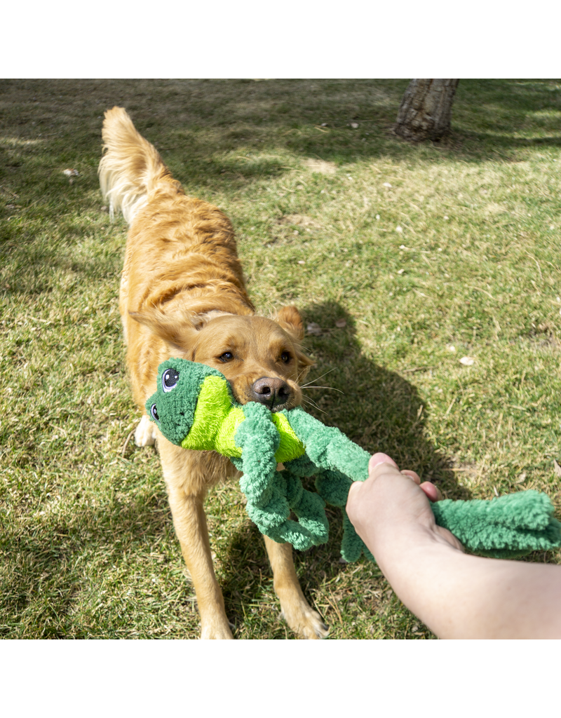 Kong Company Kong Knots Frog Dog Toy